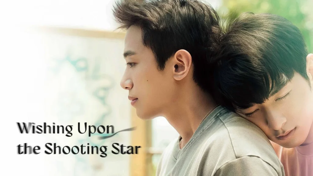 Wishing upon the Shooting Stars