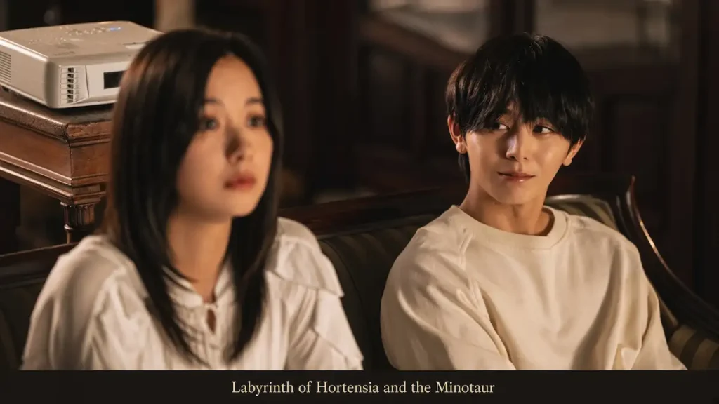 Labyrinth of Hortensia and the Minotaur